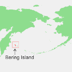 Bering Island